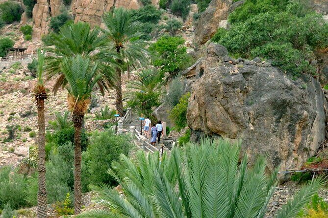 Private Walking Tour in Nakhal and Wakan Valley - A Detailed Look at the Tour Experience