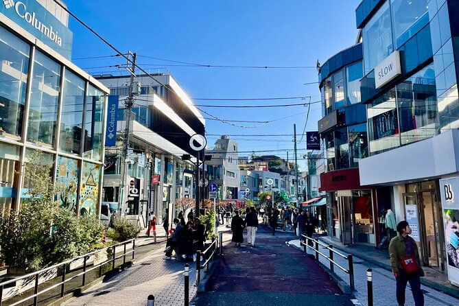 private-walking-tour-in-tokyo-perfect-for-first-time-visitors