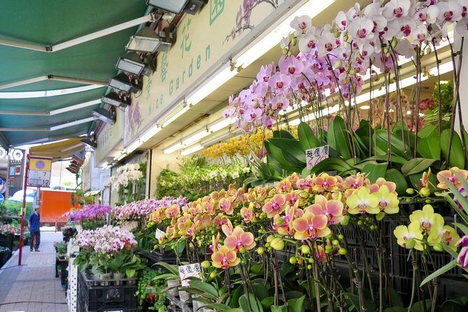 Private Walking Tour: Local Markets and Foodie in Hong Kong - Final Thoughts