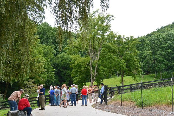 private-walking-tour-of-a-real-working-cattle-ranch