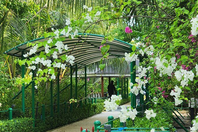 Private Walking Tour of Malé - The Itinerary in Detail