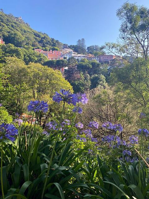 private-walking-tour-of-sintra-village-quinta-da-regaleira