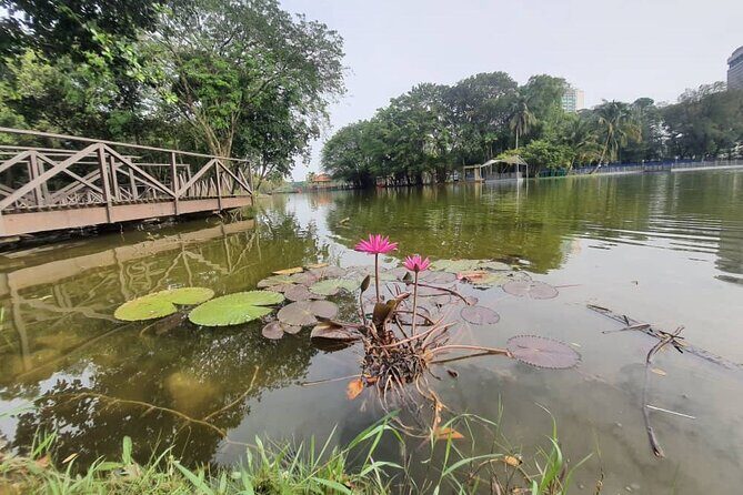 Private Walking Tour of the Shah Alam Lake Gardens with Pick Up and Lunch - Key Points