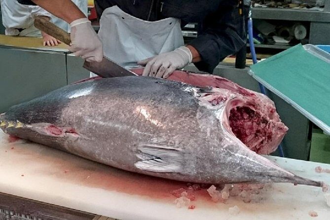 Private Walking Tour of Tokyo with a water bus ride - FAQ