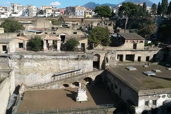Private Walking Tour through the Historical City of Herculaneum - Frequently Asked Questions