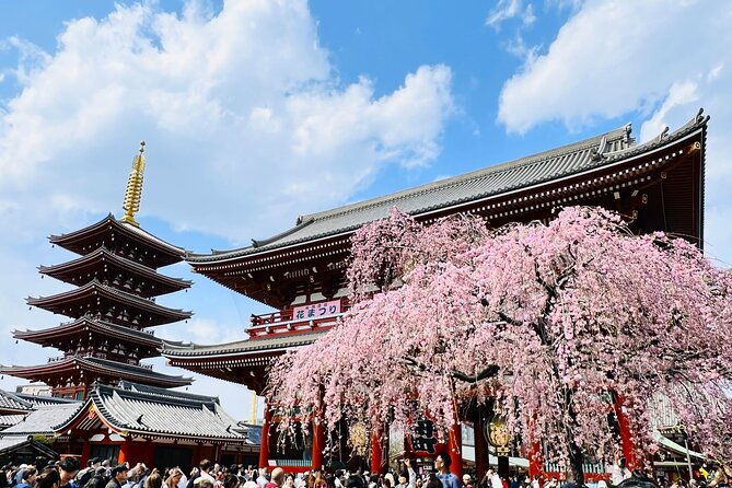 private-walking-tour-to-explore-tokyo-based-on-your-interests