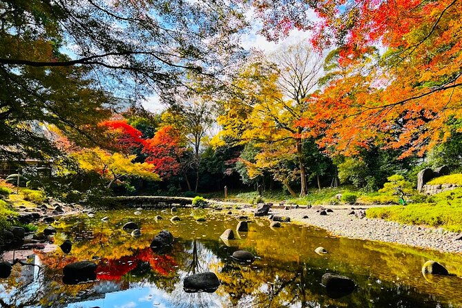 private-walking-tour-to-explore-tokyo-based-on-your-interests