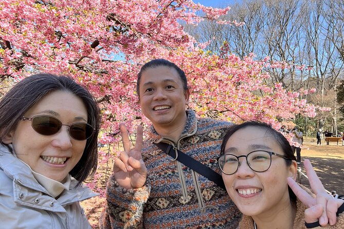 private-walking-tour-to-explore-tokyo-based-on-your-interests