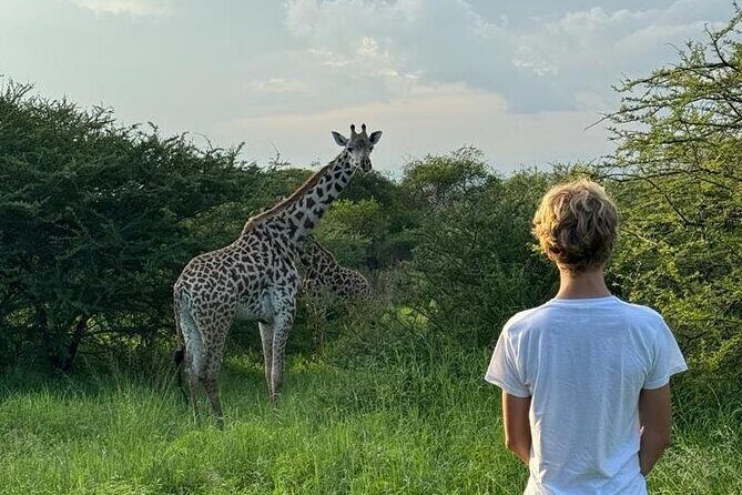 Private Walking Tour with Giraffes - An In-Depth Look at the Tour Experience
