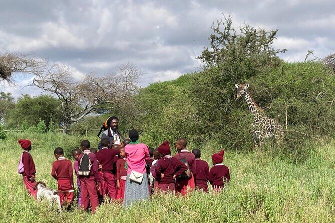 Private Walking Tour with Giraffes - The Sum Up: Is It Worth It?