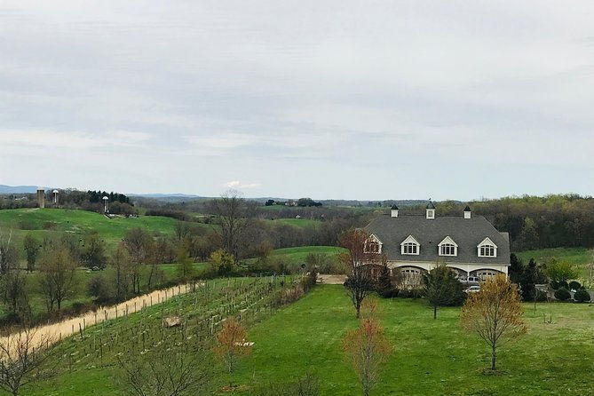private-washington-dc-virginia-winery-wine-tasting-tour-spirited