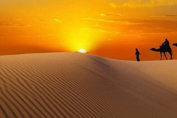 Private Watching Sunrise in the Desert - Early Morning Tour - The Sum Up
