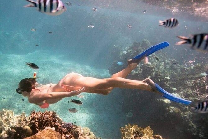 Private Waterfall Tour and Blue Lagoon Snorkeling in Padang Bai - Why This Tour Offers Great Value