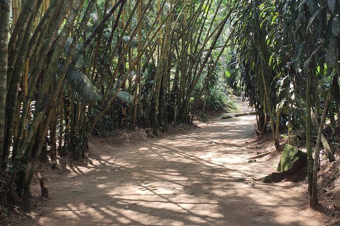 Private Waterfalls and Still Jeep 4x4 6hrs by Jango Paraty - A Detailed Look at the Tour Experience