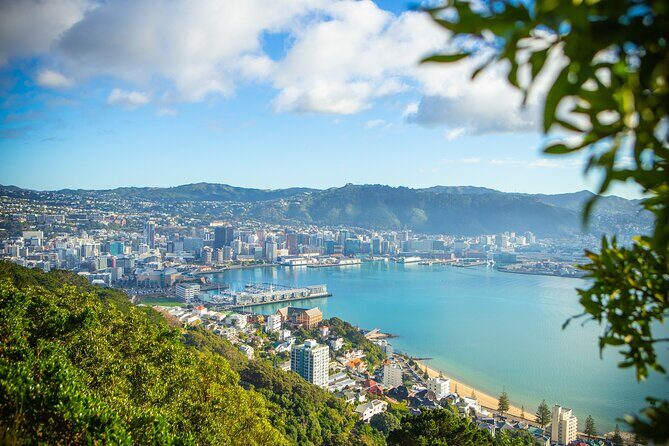 PRIVATE Wellington Half Day Tour including Cable Car - Exploring Wellington: A Private Half-Day Tour with Cable Car