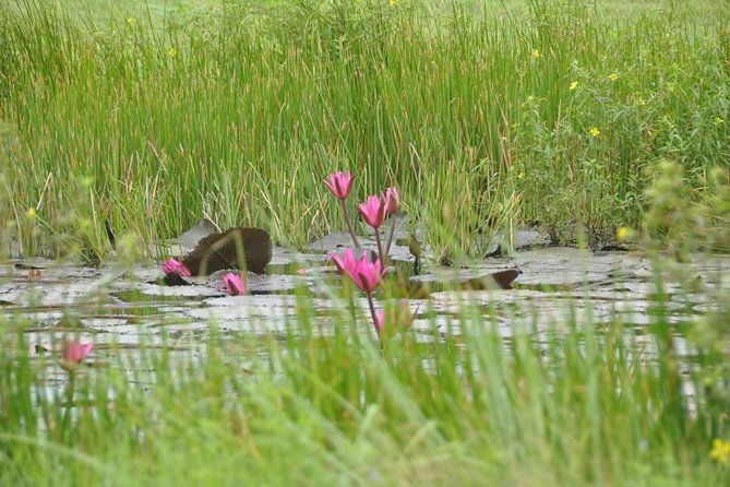 private-west-coast-beaches-tour-with-snorkeling