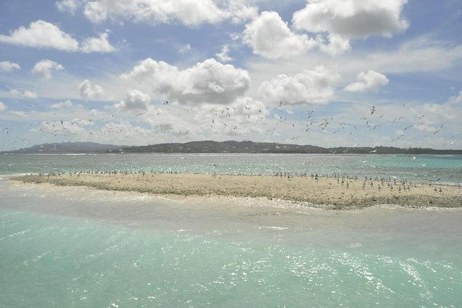 private-west-coast-beaches-tour-with-snorkeling