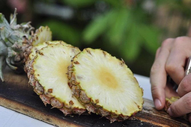 private-west-coast-beaches-tour-with-snorkeling