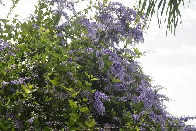 private-west-coast-beaches-tour-with-snorkeling