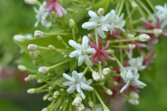 private-west-coast-beaches-tour-with-snorkeling