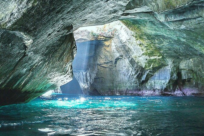 private-west-izu-uncovered-tour-cave-cruise-and-monkey-encounter
