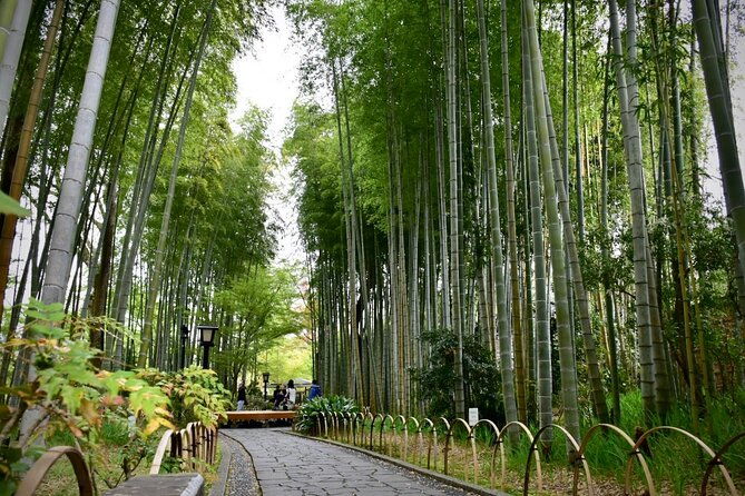 private-west-izu-uncovered-tour-cave-cruise-and-monkey-encounter