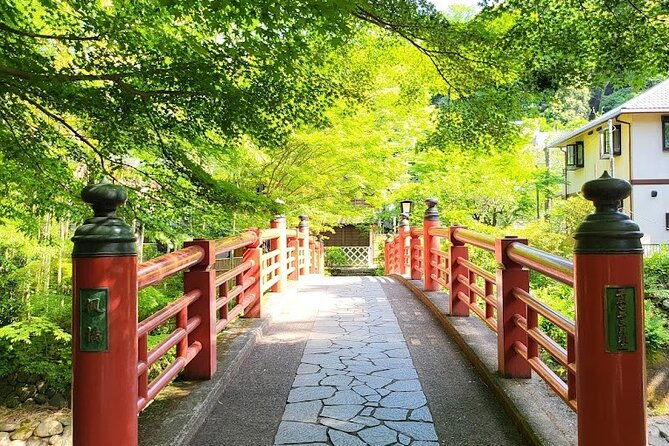 private-west-izu-uncovered-tour-cave-cruise-and-monkey-encounter