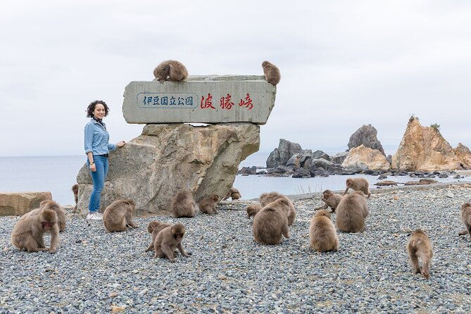 private-west-izu-uncovered-tour-cave-cruise-and-monkey-encounter
