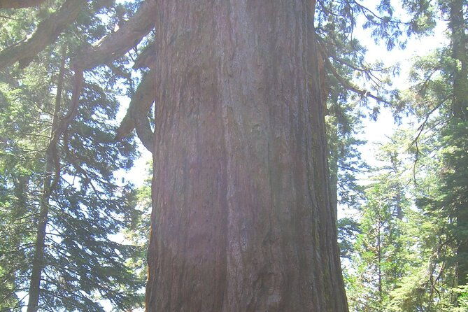 private-western-national-parks-tour-from-las-vegas-to-san-francisco