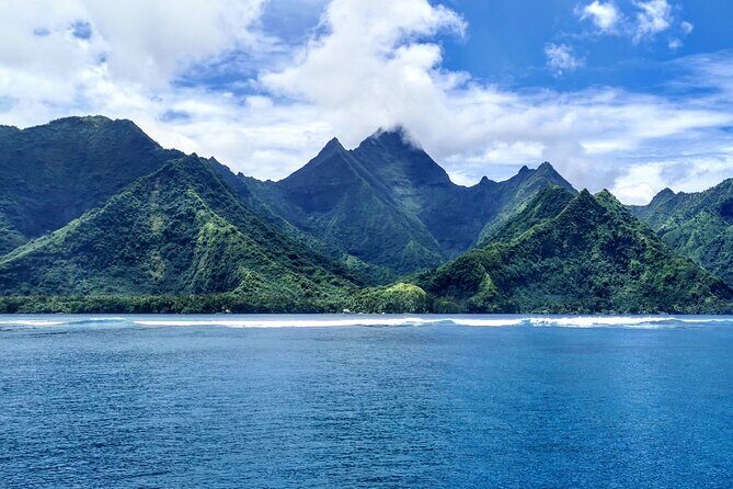 Private Whale Outing on the Tahiti Peninsula - Practical Details & Tips