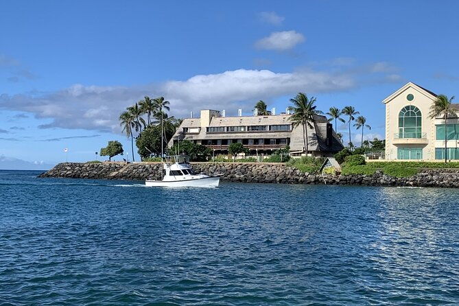 private-whale-watching-and-dolphin-excursion