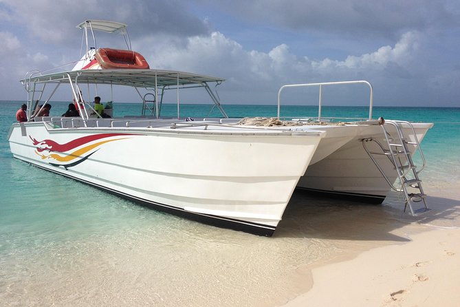 private-whale-watching-charter-grand-turk