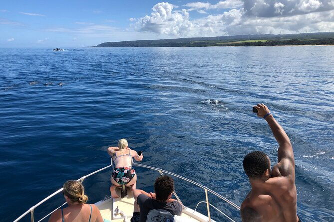 private-whale-watching-safari-from-north-shore-oahu