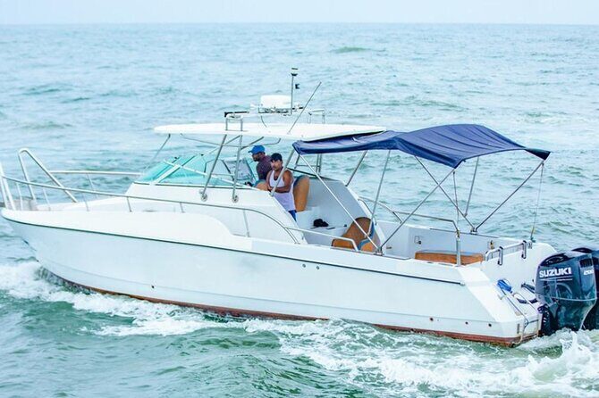 Private Whale Watching Tour by Luxury Speedboat from Mirissa - Final Thoughts: Is This Tour Right for You?