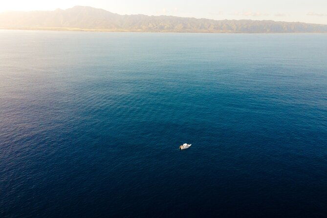 private-whale-watching-tour-of-oahu