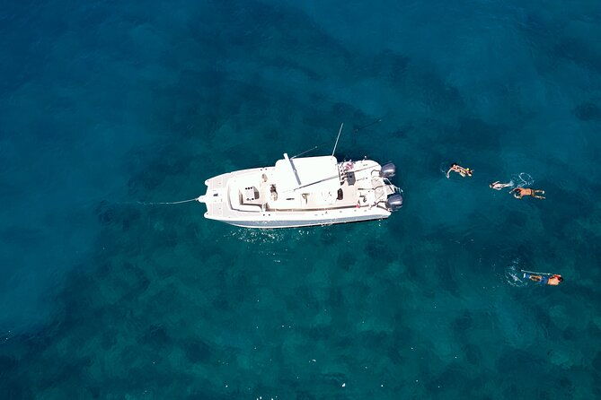 private-whale-watching-trip-from-oahu
