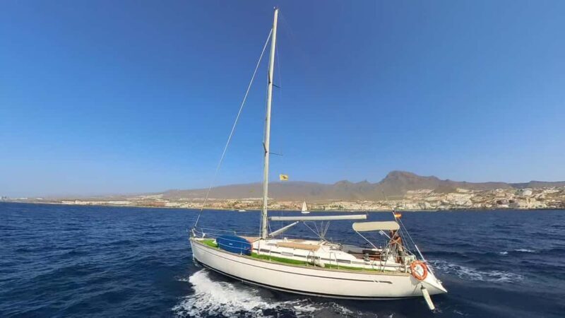 Private Whales & Dolphins Excursion: for you exclusively! - Who is this tour best suited for?