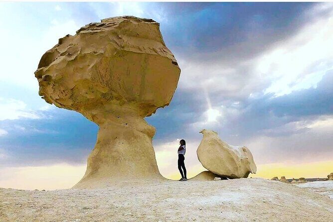Private White Desert tour one Full day from Cairo - Who Will Love this Tour?