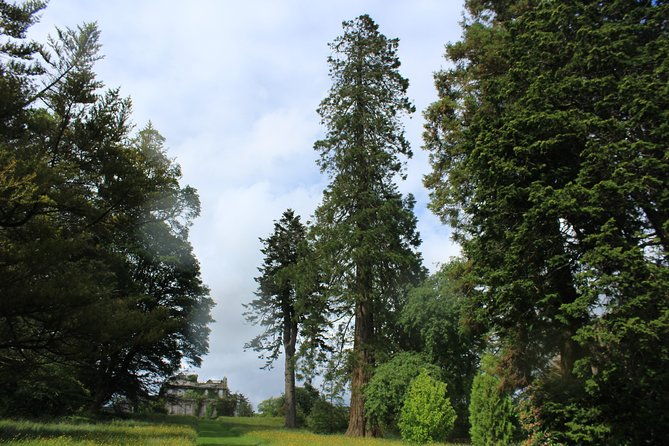 private-wicklow-mountains-day-tour