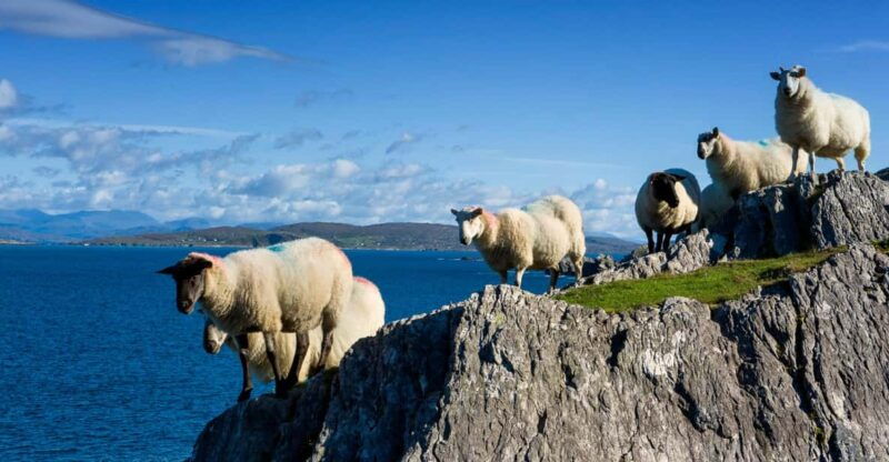 private-wild-atlantic-day-tour-from-cork