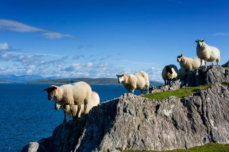 private-wild-atlantic-day-tour-from-cork