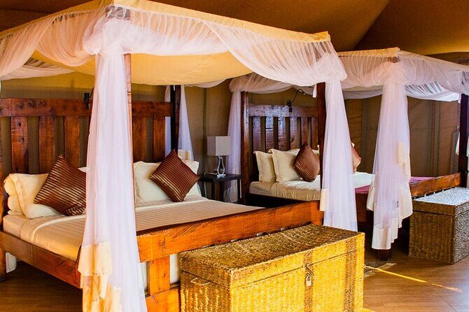 PRIVATE Wildebeest Calving Safari, Tanzania, January to March - Why Choose This Safari? The Allure of Tanzania’s Wilderness
