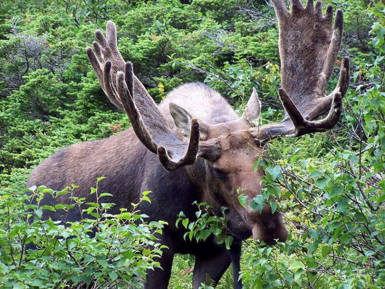 private-wilderness-and-wildlife-walking-tour-2-5h