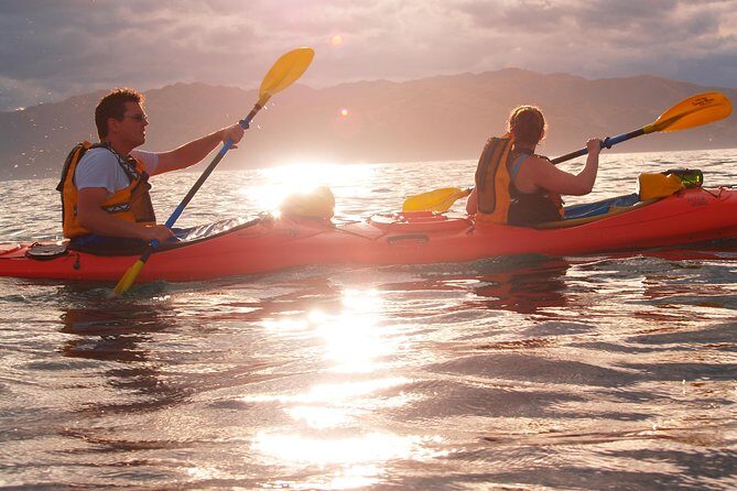 Private Wildlife Kayaking Tour - Kaikoura - Who Should Book This Tour?