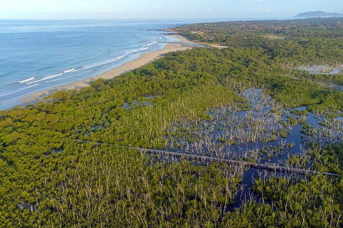 private-wildlife-tour-in-avellanas-beach