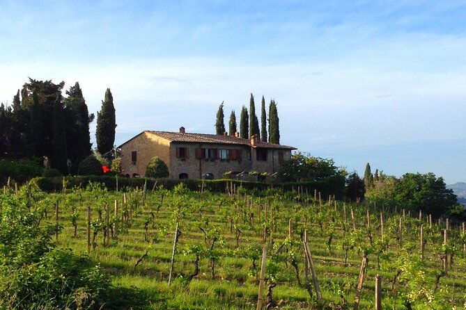 private-wine-and-extra-virgin-olive-oil-tasting