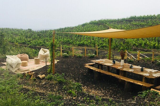 private-wine-and-food-tasting-immersed-in-nature-in-milo-2