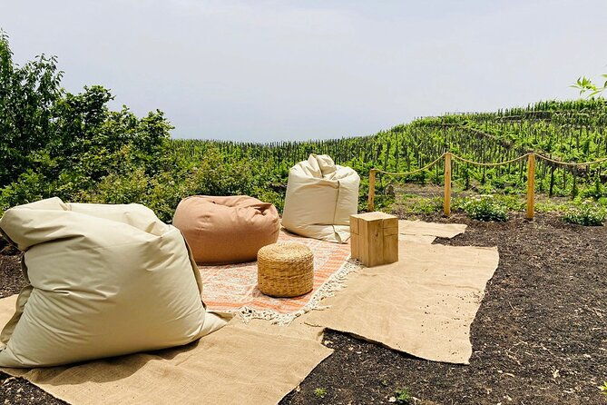 private-wine-and-food-tasting-immersed-in-nature-in-milo-2