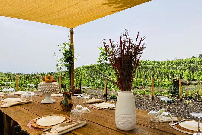 private-wine-and-food-tasting-immersed-in-nature-in-milo