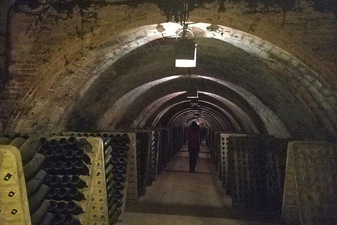 Private Wine & Cava Tasting Tour In Penedes with hotel pick up - Authentic Experiences & Guest Feedback